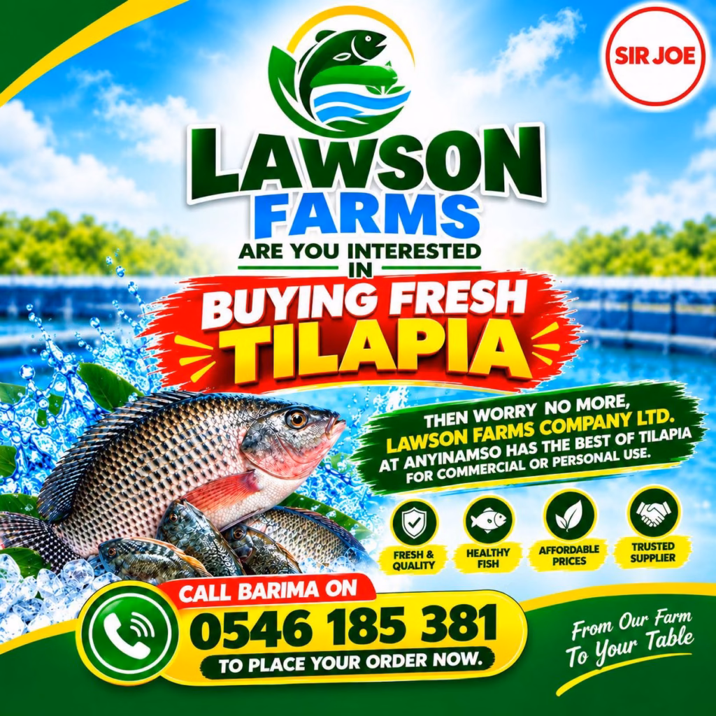 Fresh tilapia in Anyinamso